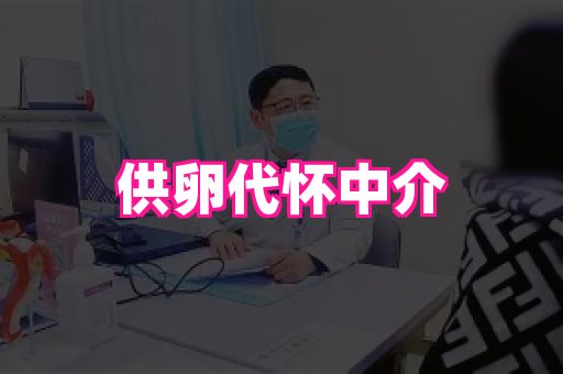 123试管孕网 1